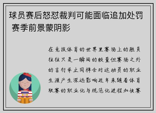 球员赛后怒怼裁判可能面临追加处罚 赛季前景蒙阴影